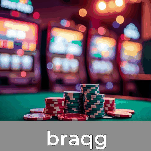 Braqg: Onde a Segurança e o Serviço Profissional se Encontram